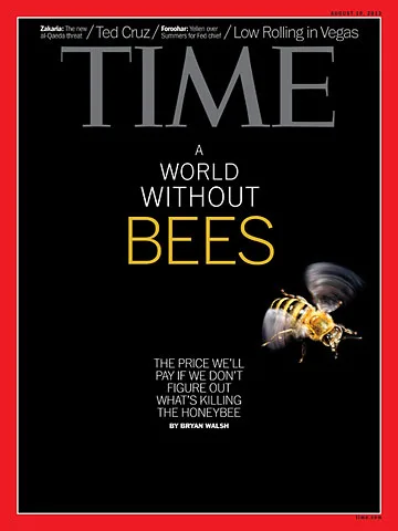 copertina TIME copertina TIME