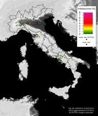 Infestazione Varroa in Italia