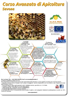 Locandina corso Savona 2