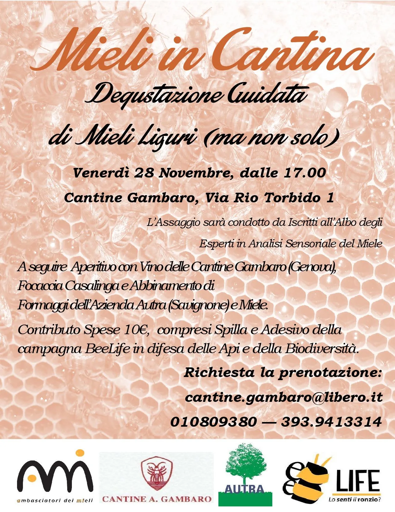 Mieli in cantina