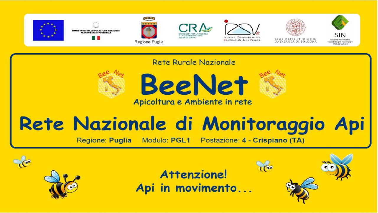 Incontro Progetto BEENET