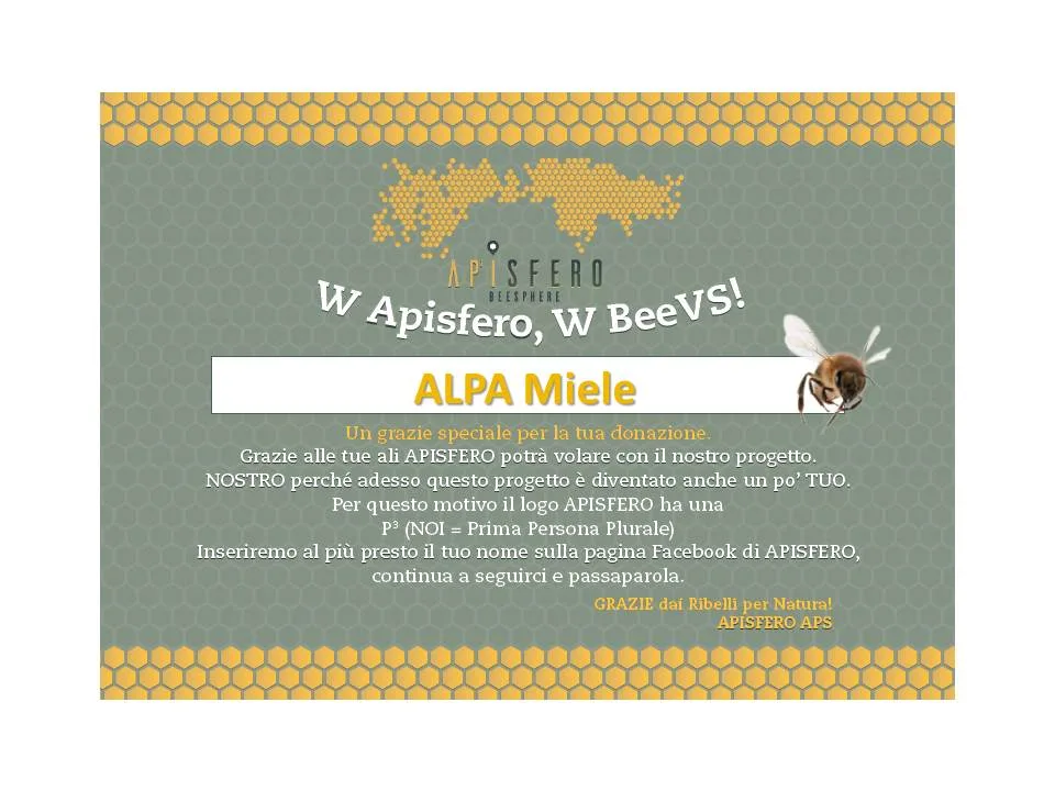 images_ecard ALPA Miele