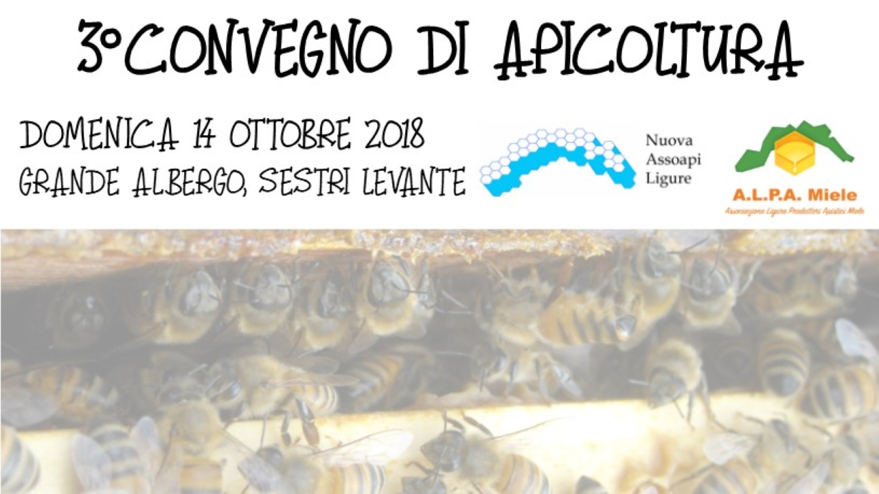 3° Convegno di Apicoltura