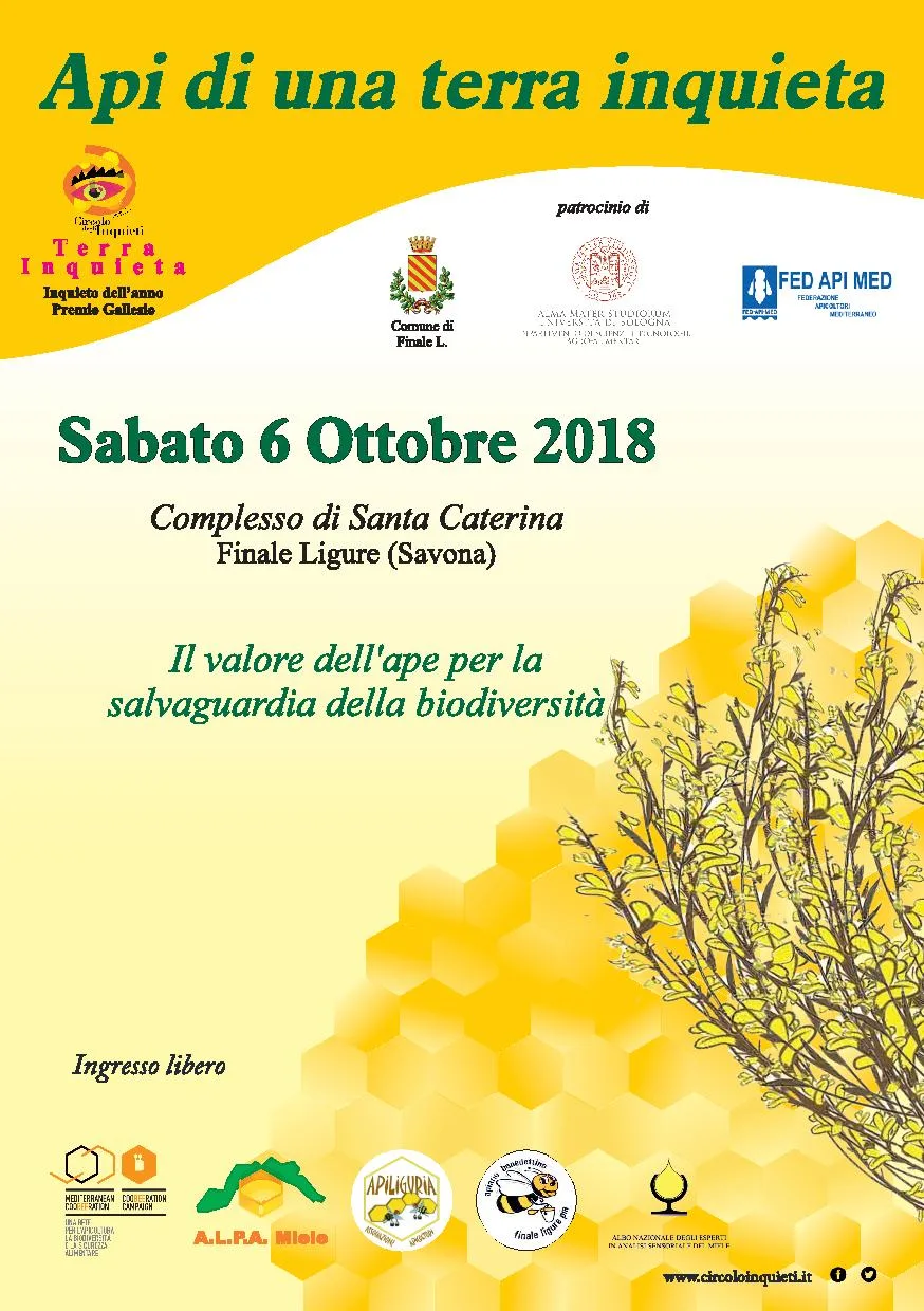 api inquiete 6 ottobre finale