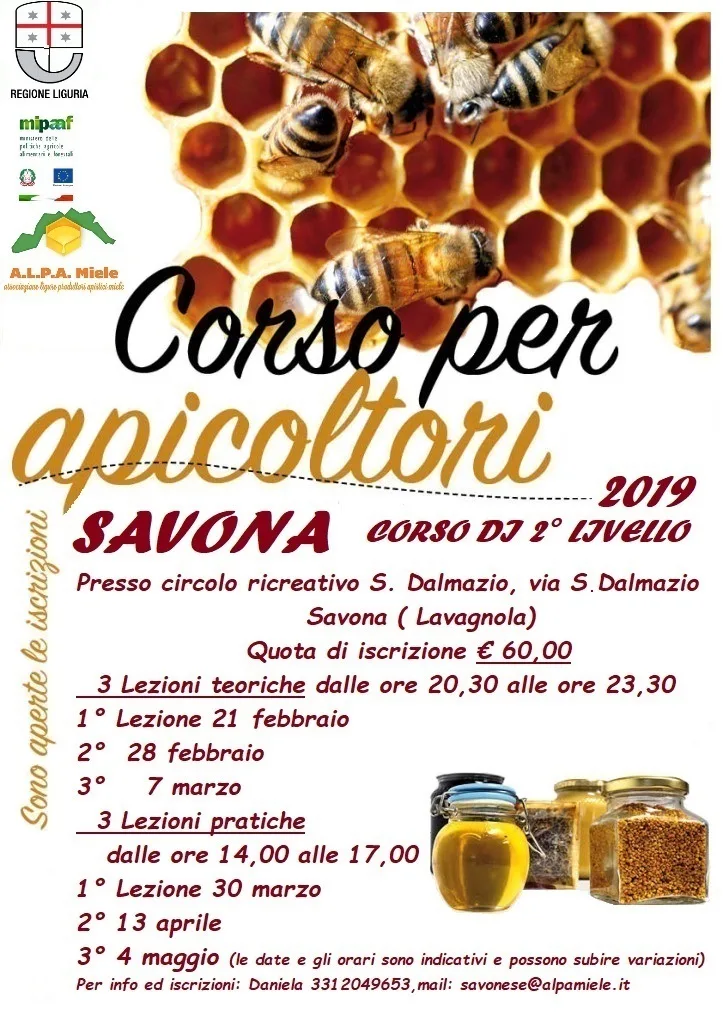 corso AVA SV corso ava SV