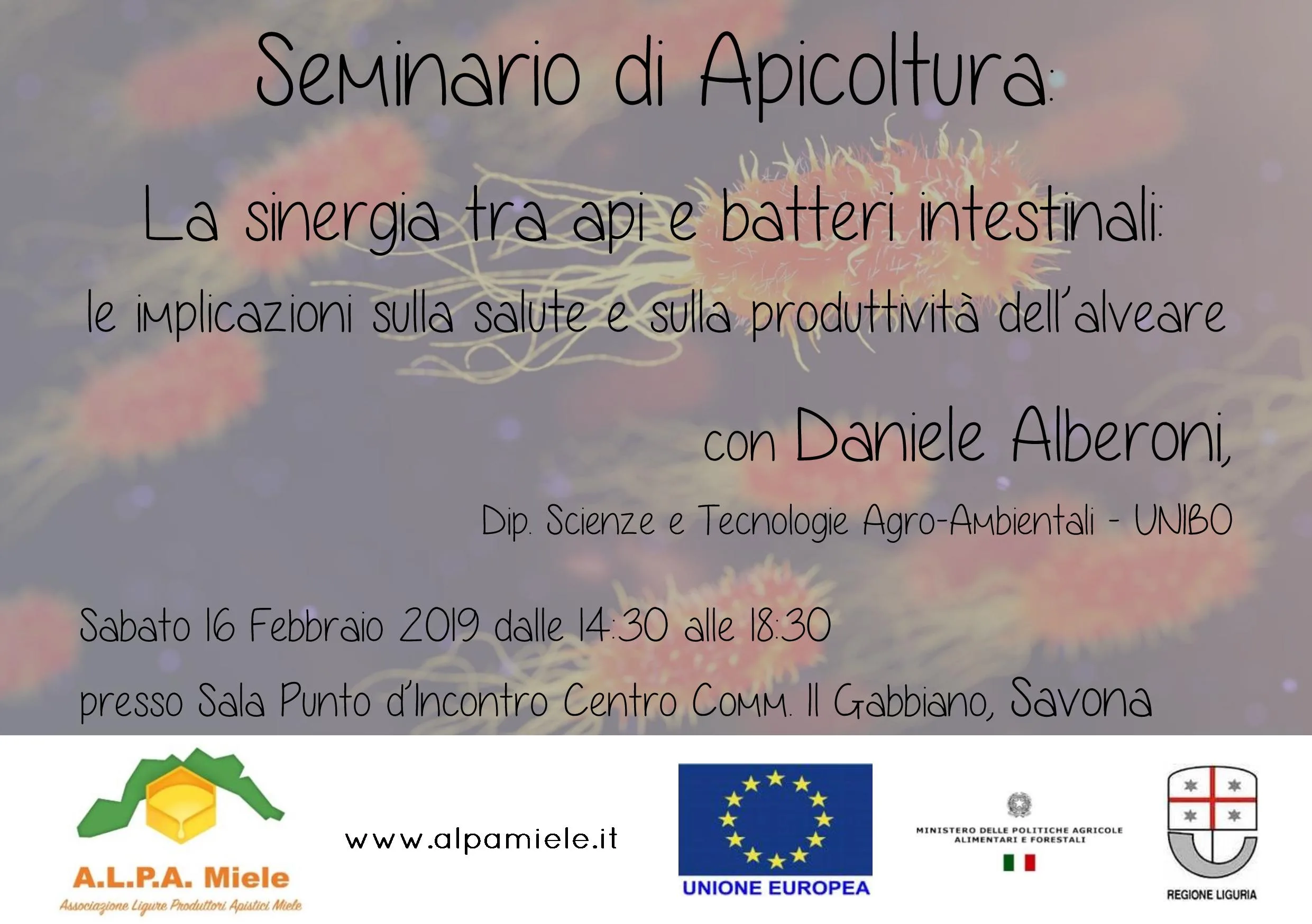 seminario alberoni SV