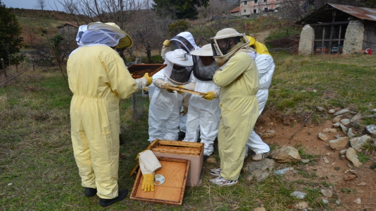 Corso Base di Apicoltura a Imperia