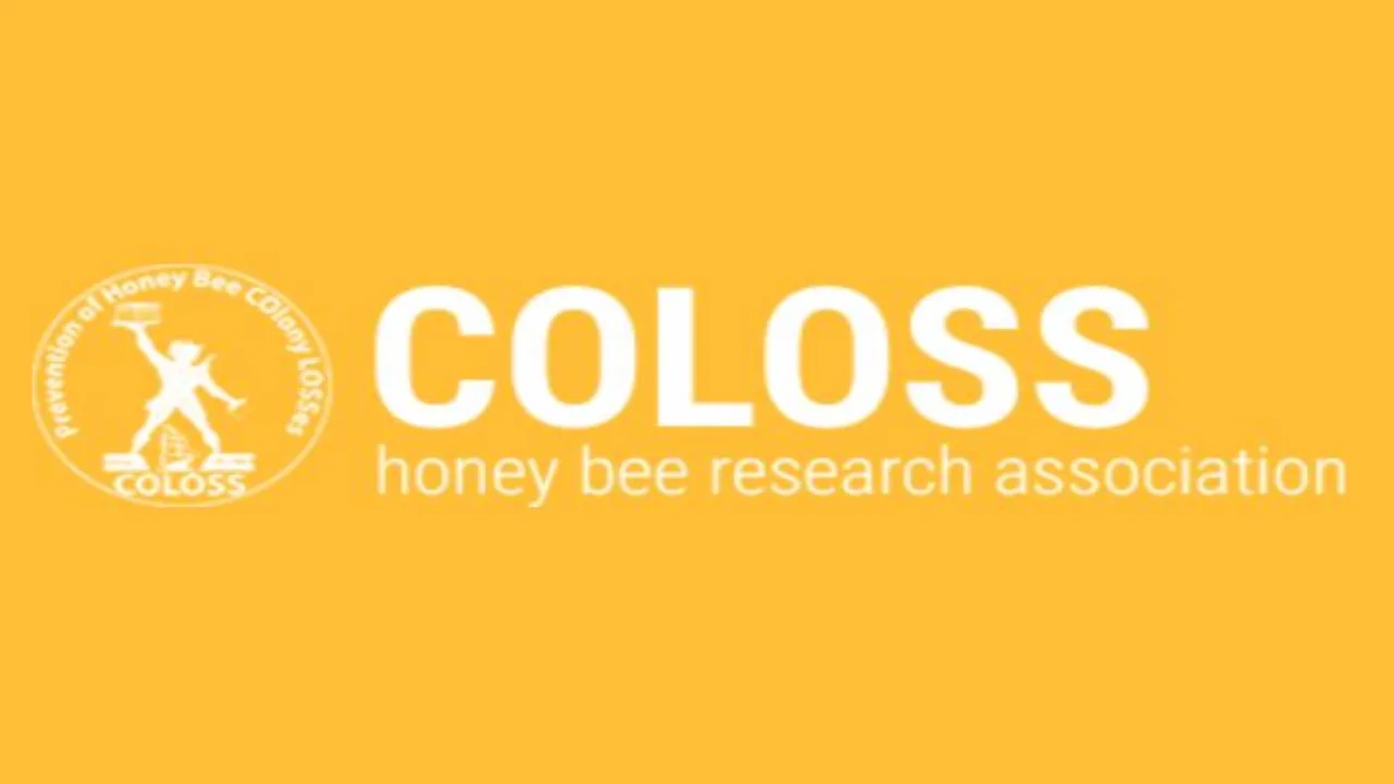 coloss