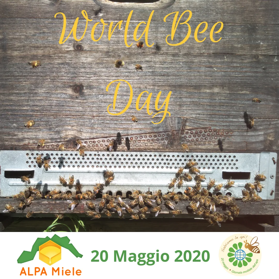 ALPA_bee day 2020