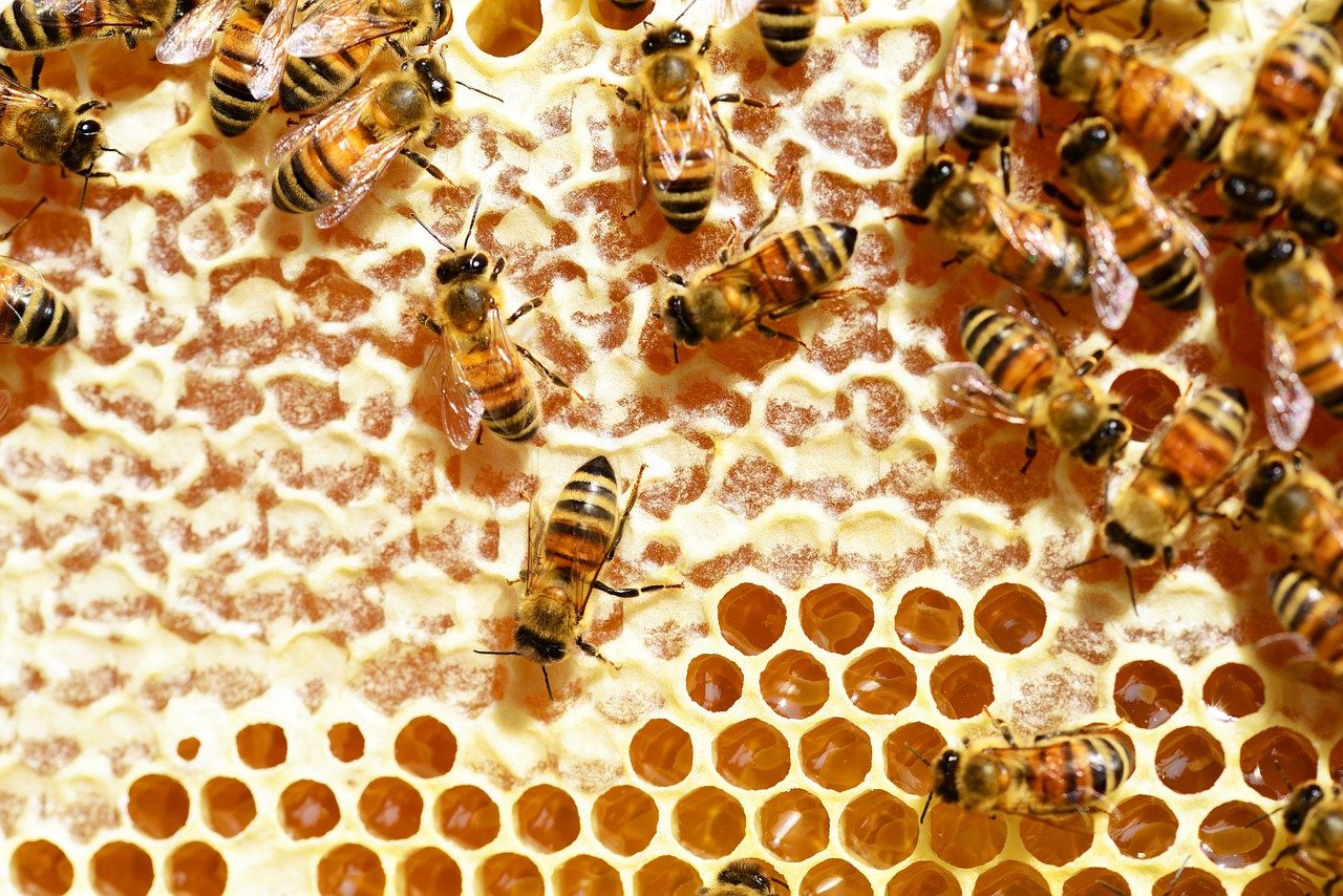 Corsi Avanzati e Specialistici 2021