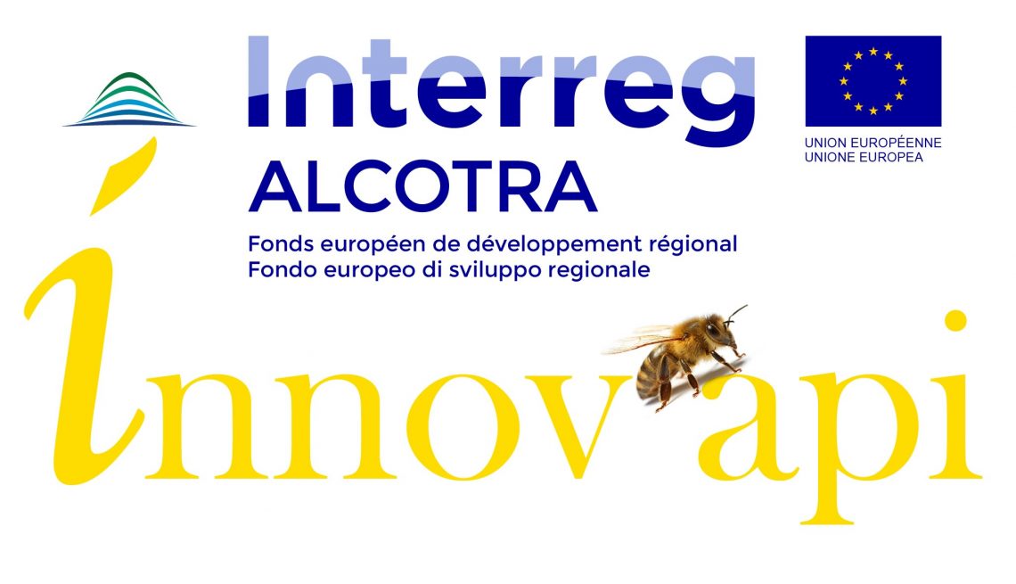 Convegno Innov’api