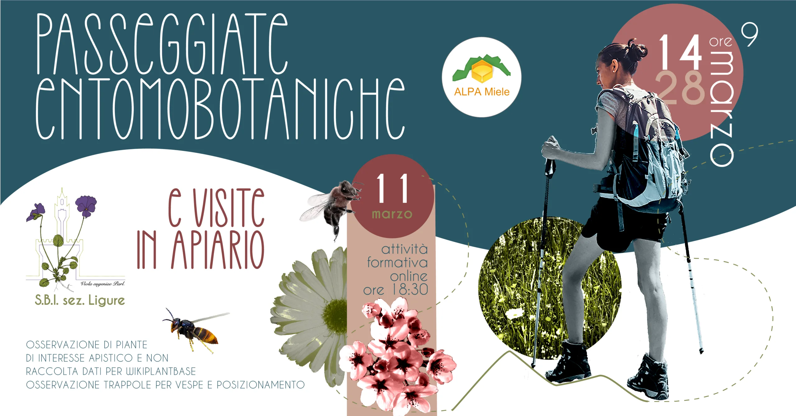 passeggiate copertina scaled