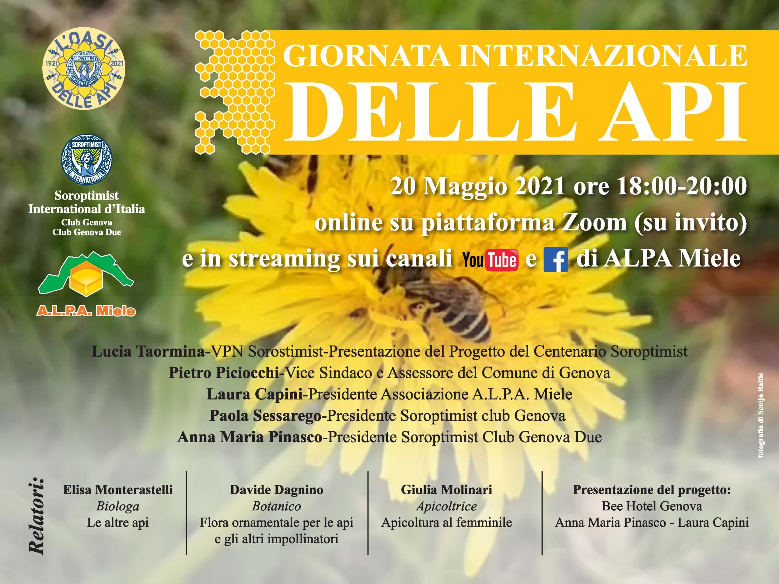 Conferenza Online per la Giornata delle Api