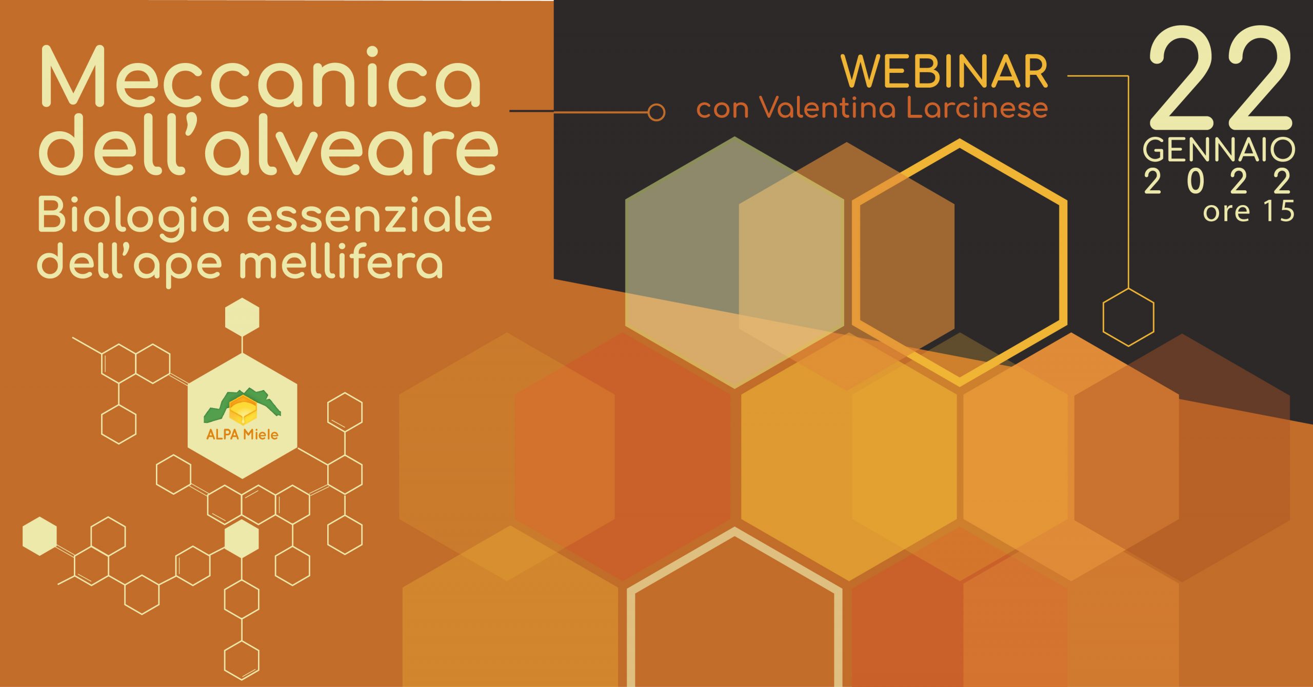 webinar: Meccanica dell’Alveare