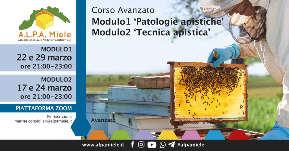 Corso Avanzato
