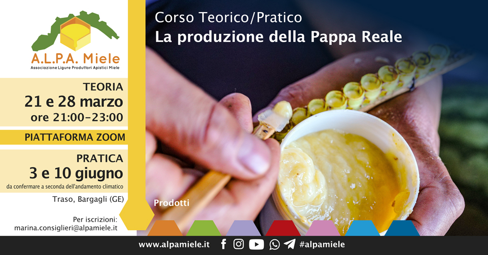 Corso Produzione Pappa Reale