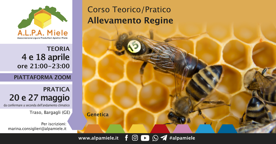 Corso Allevamento Regine