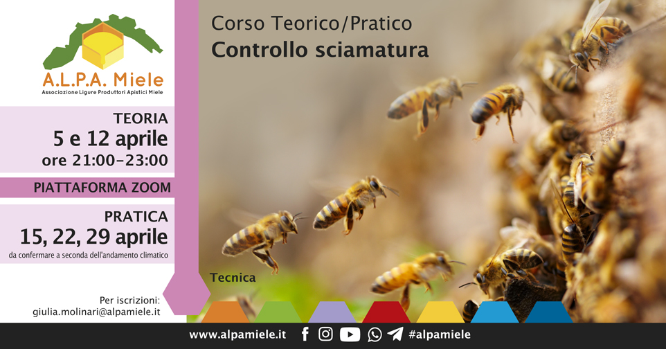 Corso Controllo Sciamatura