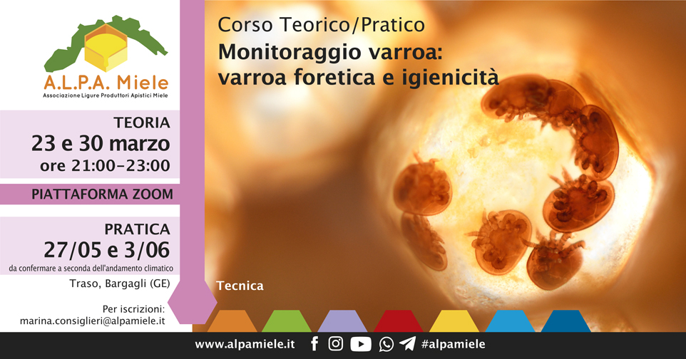 Corso Monitoraggio Varroa e Igienicità