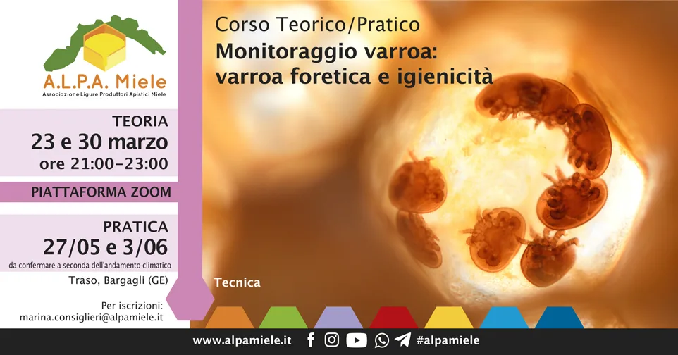 Corso Monitoraggio Varroa e Igienicità