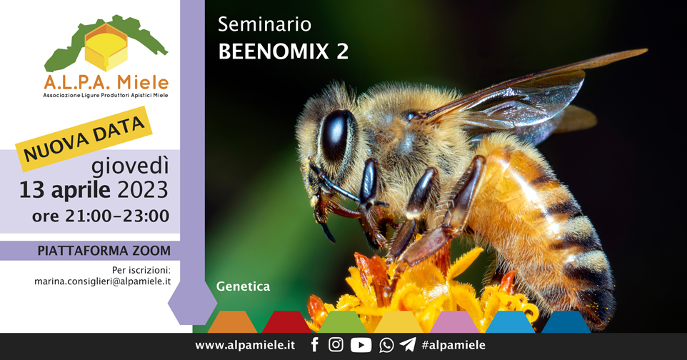 Seminario Beenomix 2