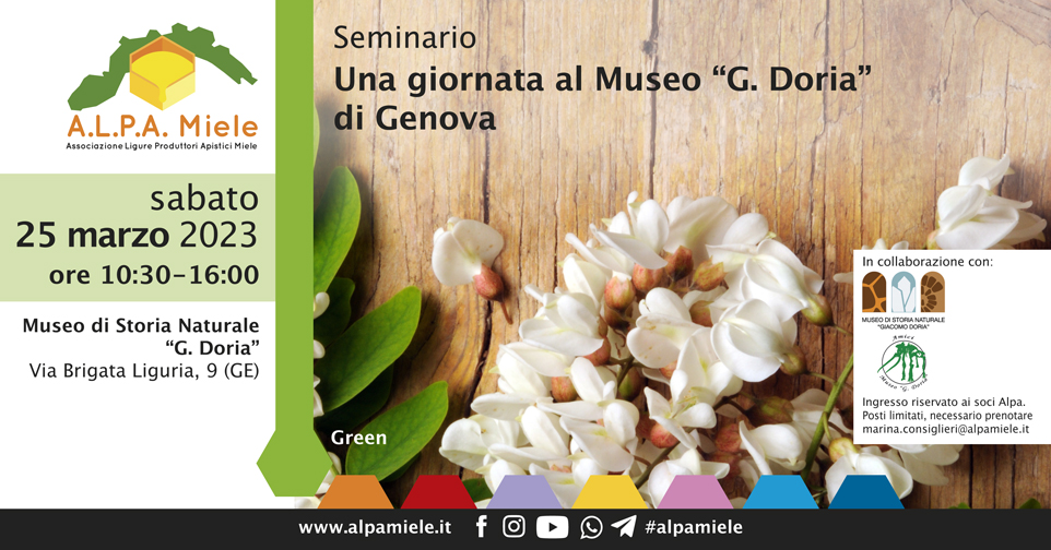 Seminario Una Giornata al Museo “G. Doria”, Genova