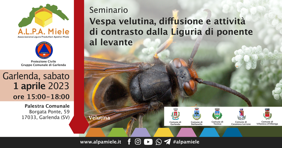 Seminario Vespa velutina a Garlenda