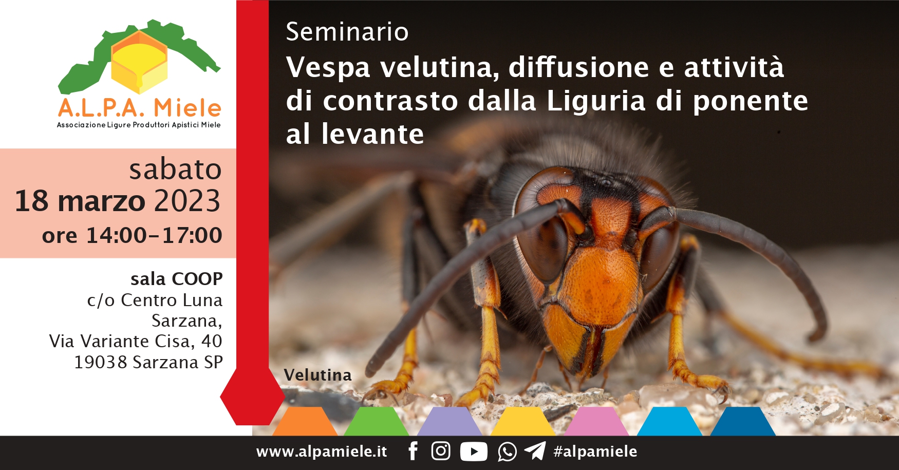 Seminario Vespa velutina a Sarzana