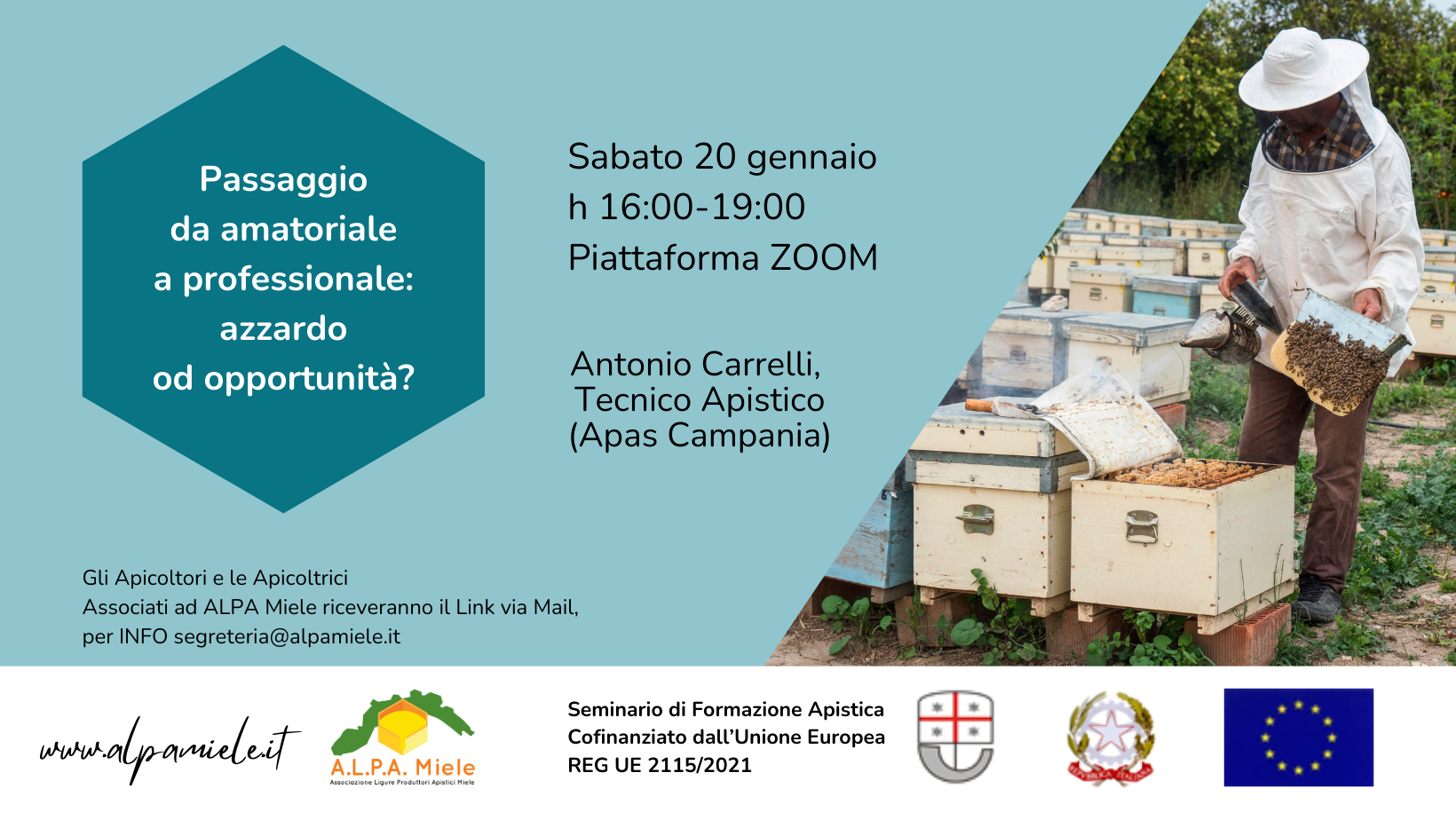 webinar amatoriale professionale