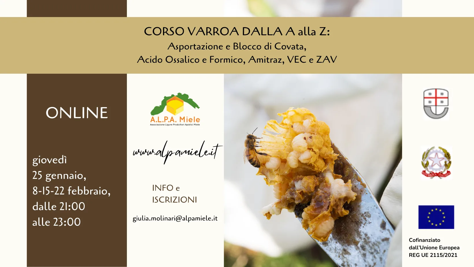 varroa A Z cover