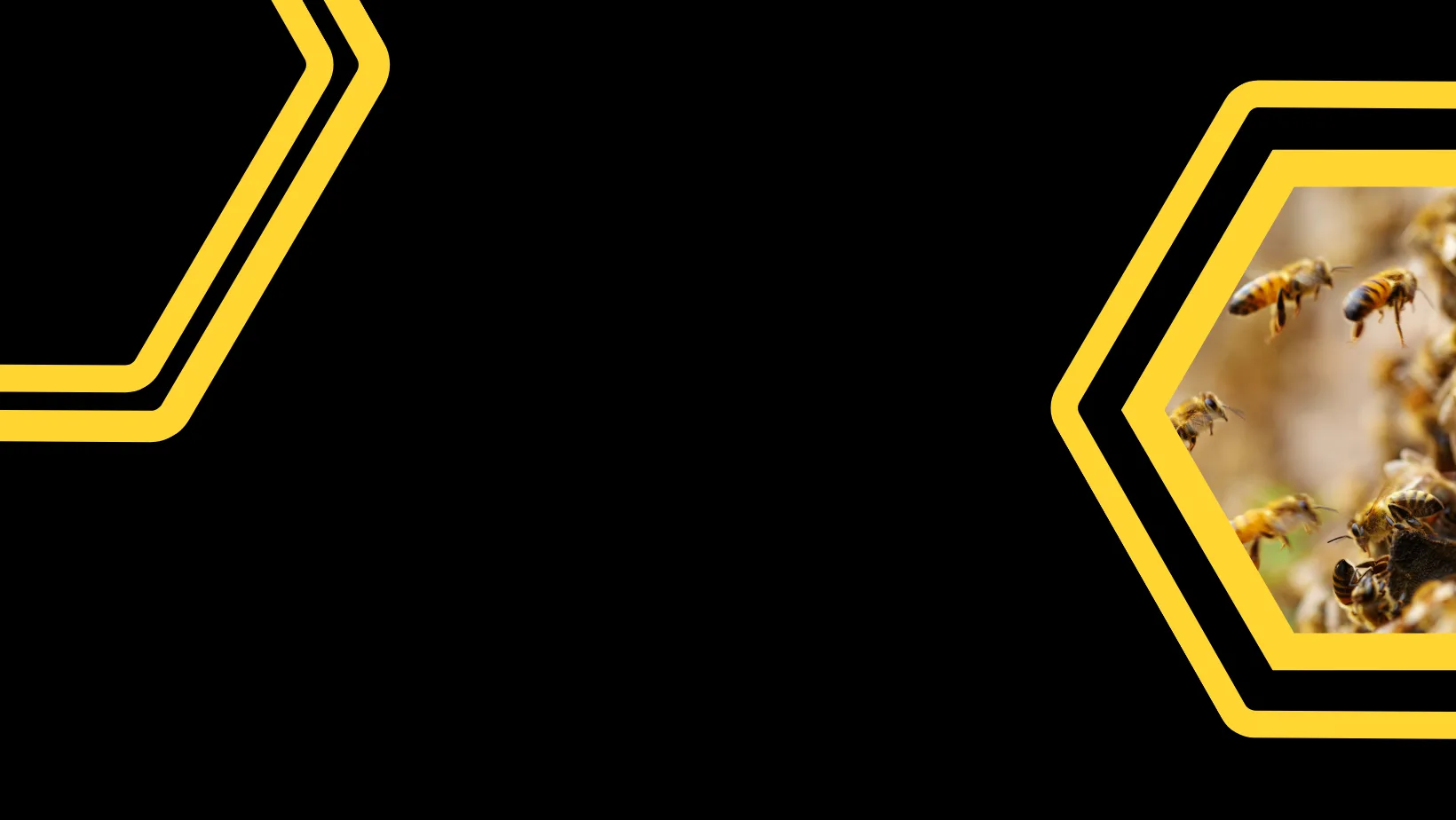 BASE_3 25_BANNER