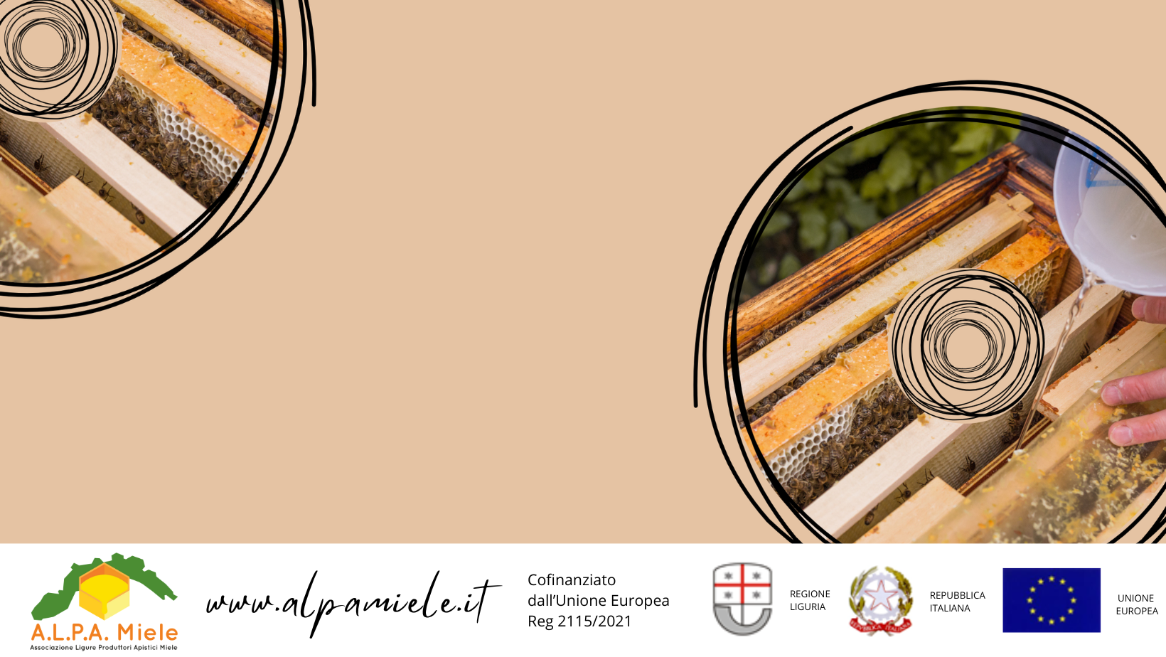 Corso online Nutrizione delle Colonie