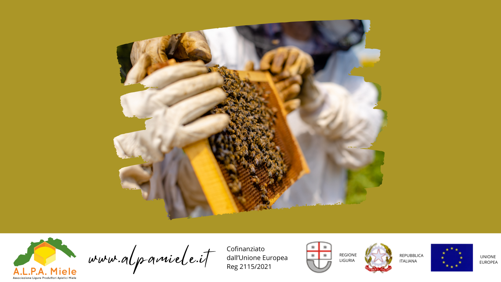 Corso di Approfondimento Post-Base