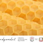 Webinar La Cera