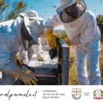 Corso Base di Apicoltura