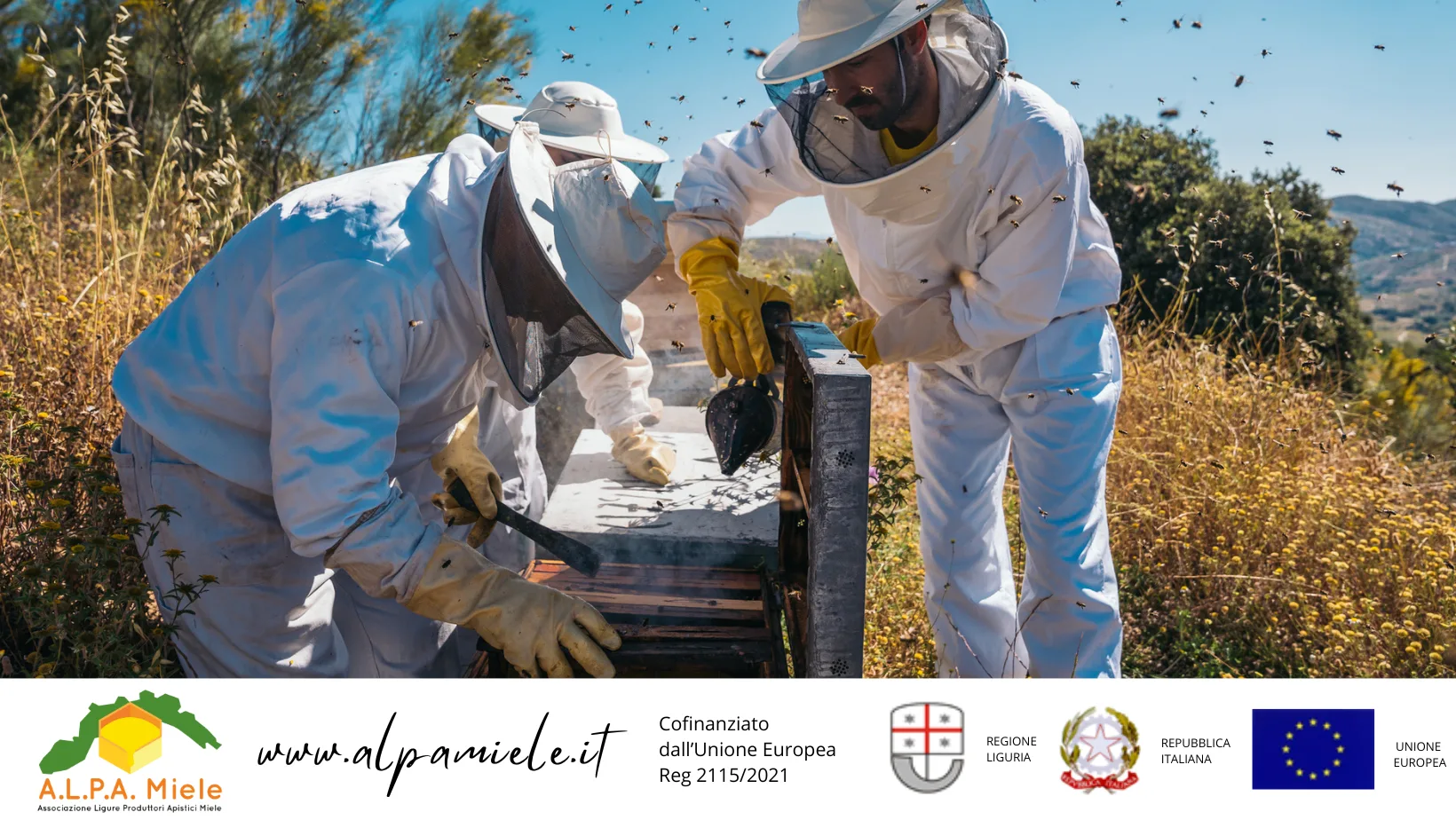 Corso Base di Apicoltura