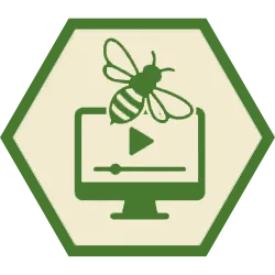 ALPAMiele servizi formazione webinar