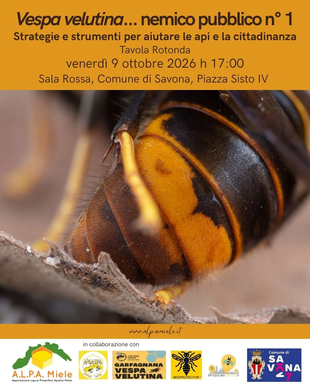 Vv savona_9 10 26 1