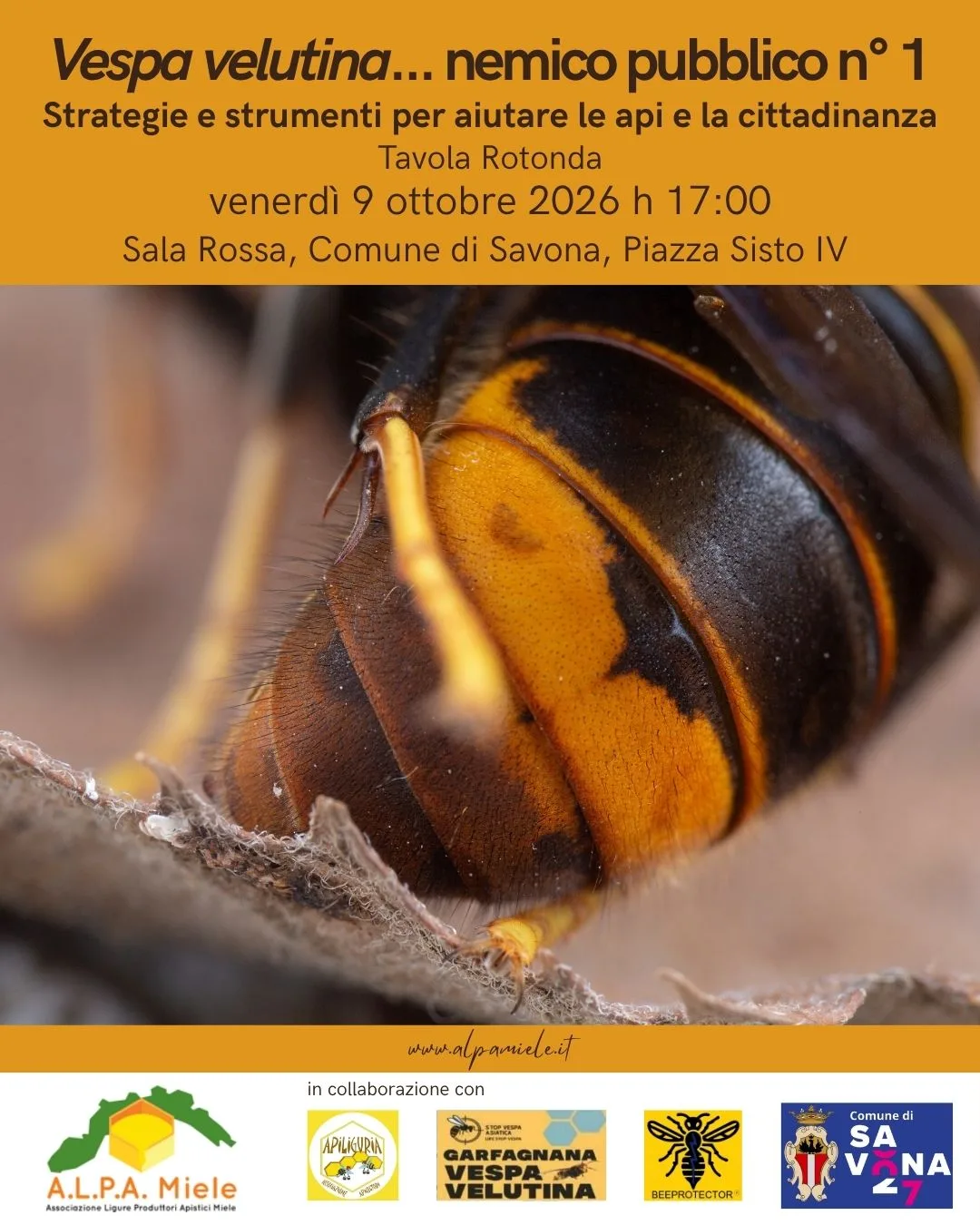 Vv savona_9 10 26
