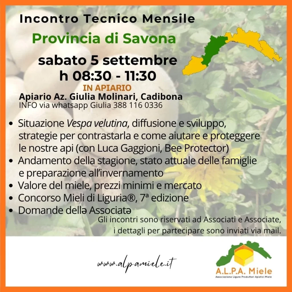 Locandina dell’incontro tecnico online di Savona organizzato da ALPA Miele nel settembre 2026
